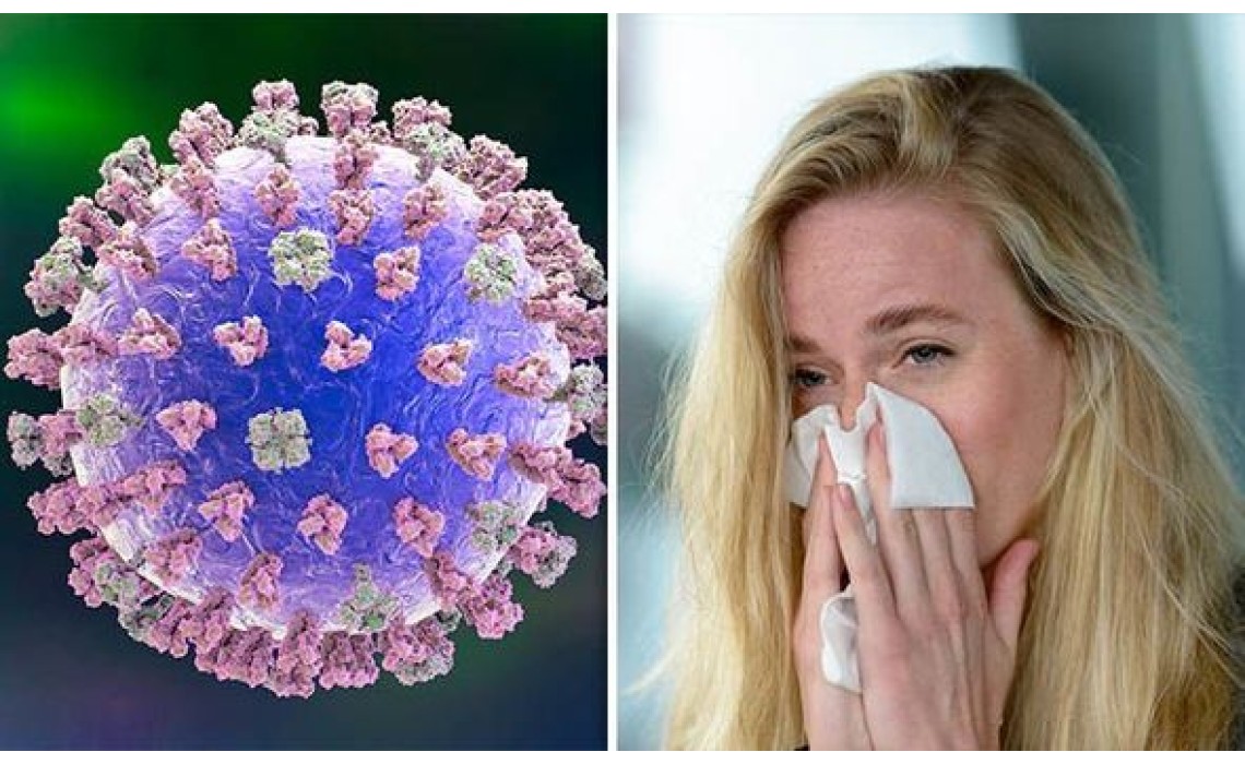 Ce stim despre gripa